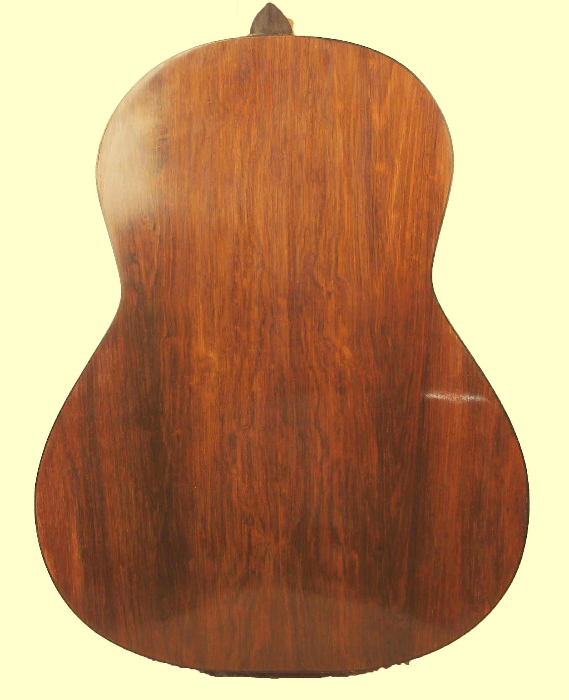 thompson18 back
